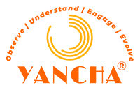 yancha